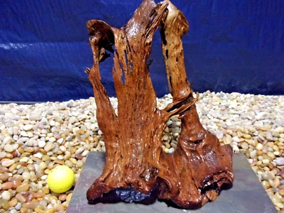 Большой аквариум из коряги 11 x 10 x 06 дюймов с рептилиями натуральное искусство - Изображение 1 из 4