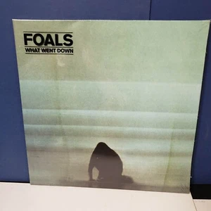 FOALS - What Went Wrong 180g Vinyl Album NEW SEALED - Picture 1 of 4