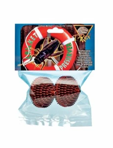 T-Rex Cricket Preserver For Reptile Water Dishes - 2 Pack - Picture 1 of 2