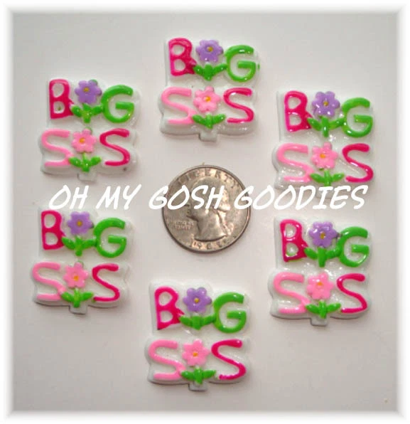 6 PIEZAS BIG BROTHER 2 RESINAS PLANAS BRILLANTES 4 ARCO PARA EL PELO MOÑO CENTRO  Foto 1 de 1