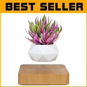 Suspended Polygon Flower Pot - Eco-Friendly Magnetic Planter for Indoor Plants - Picture 1 of 9