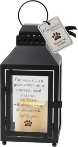 Pawprints Left by You Memorial Gifts Metal Lantern - A Heartfelt Remembrance an - Picture 1 of 3
