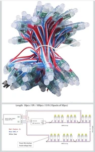 Rextin WS2811 Pixels Digital Addressable LED String Lights Waterproof RGB... - Picture 1 of 5