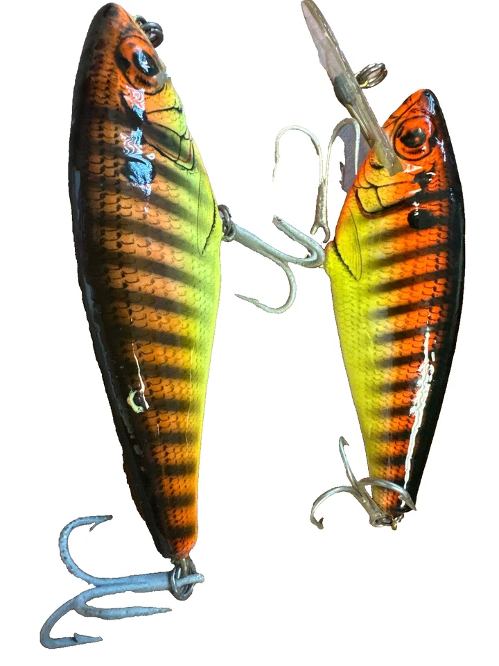 ? Bajo Bagley N Shad 2 cebos buen estado distinto de uno tenía chip medio en si Foto 1 de 1