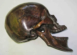 19th-20th CENT Full Size BRONZE Neanderthal Man ANATOMICAL SKULL / Academic Use - Picture 1 of 23