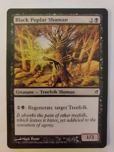 MTG Magic The Gathering Card Black Poplar Shaman Creature Treefolk Shaman Lorwyn - Picture 1 of 2