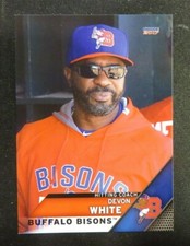 2017 Choice, Buffalo Bisons - Hitting Coach - DEVON WHITE