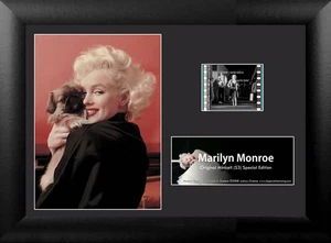 MARILYN MONROE Hollywood Actress Star Legend FRAMED PHOTO and FILM CELL 5" x 7" - Picture 1 of 1
