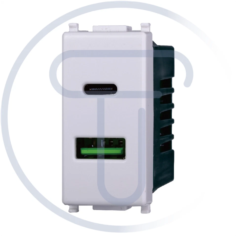 ETTROIT Modulo doppia presa USB 2.0 tipo A e USB 3.1 tipo C, 5Vdc 3,1A, Starlight, Plana