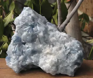 Large Raw Smooth Natural Blue Calcite Crystal Chunk White Blue 1.2Kg From Mexico - Picture 1 of 6