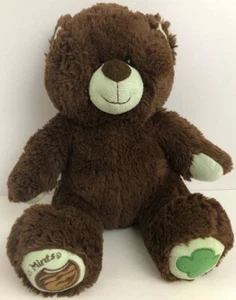 Build A Bear Girl Scouts Teddy Bear Mint Green & Chocolate Thin Mints - Picture 1 of 12