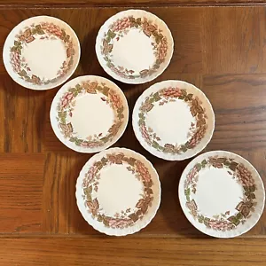 (6) Wedgwood Barlaston Wildbriar zuppa dessert ciotole 5,25" x 1,25" bordo floreale vintage - Foto 1 di 16