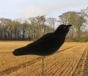 1 Avery Crow decoy "Best of the best" Aggressive Caller version FFD - Picture 1 of 8