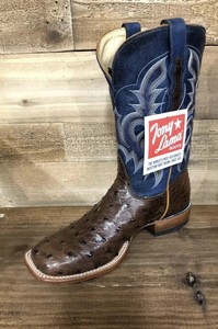 Botas De Avestruz Cuadradas Negras Flash Sales, UP TO 52% OFF |  agrichembio.com