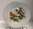 Vtg Fraureuth Bird Plate Hand Painted Holly Christmas? 9.5" Red Brown Robin?
