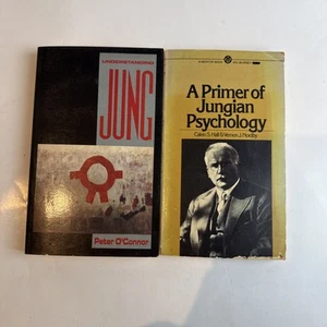 2 Jung Psychology Books Understanding Jung & A Primer Jungian Psychology - Bild 1 von 8