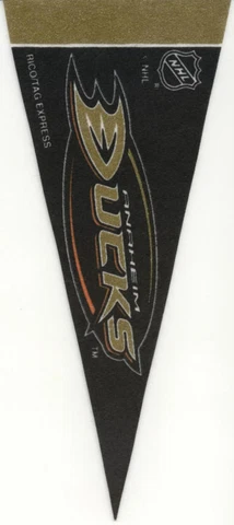 ANAHEIM DUCKS MINI NHL FELT PENNANT 9" LONG OFFICIALLY LICENSED HOCKEY Cover