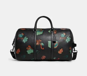 Las mejores ofertas en Equipaje de Viaje Coach | eBay