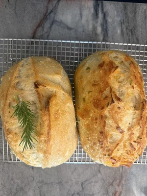 Dried Sour Dough Starter Healthy Established Organic NonGMO 100% Organic - Imagem 1 de 4