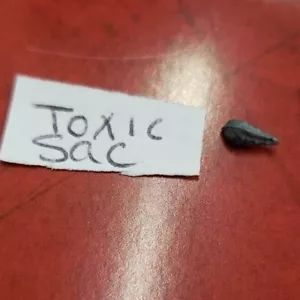Genestealer Brood Tyranid Warhammer 40k bits - Picture 1 of 46