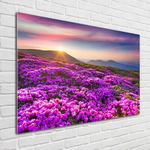 Glas-Bild Wandbilder Druck auf Glas 100x70 Deko Blumen & Pflanzen Blumen Berge - Bild 1 von 6