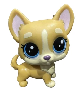 Figura de juguete de plástico para perro Corgi Littlest Pet Shop #B8395 61951 LPS Hasbro ojos de punto - Imagen 1 de 5