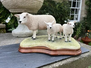 Border Fine Arts Border Fine Arts B0658 TEXEL EWE & LAMBS - Picture 1 of 21