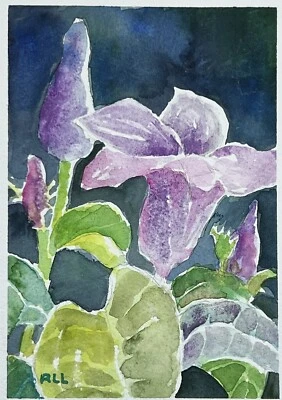 "Pintura acuarela original de Roberta Larson flor de vid de la mañana firmada 7x6""" Foto 1 de 4