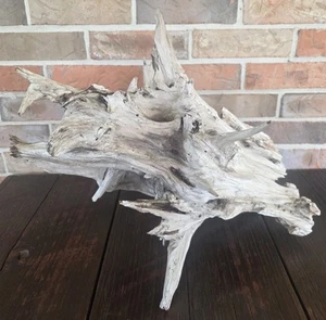 Vintage Natural Driftwood Stump Large 20"x12" Sculptural For Reptiles/Decor - Picture 1 of 10