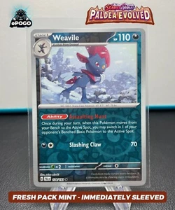 Pokémon Weavile 134/193 Holo Inverso JCC: Paladea Evolved ¡COMO NUEVO ENVIADO HOY! - Imagen 1 de 2