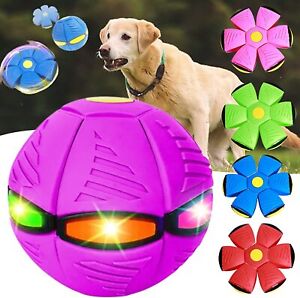 Pet Toys Dog Toys Strange Magic Flying Saucer Ball Magic Decompression 