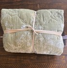 Pottery Barn Teen Harry Potter Mystical Velvet Sage Green Quilt F/Q  New! Read