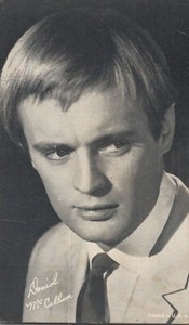 David McCallum Secret Agent Illya Kuryakin of TV Show Arcade Card Postcard Size