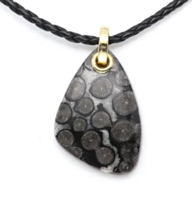 14k Black Fossil Coral Necklace Natural Stone Pendant 14K Yellow Gold & Cord - Picture 1 of 9