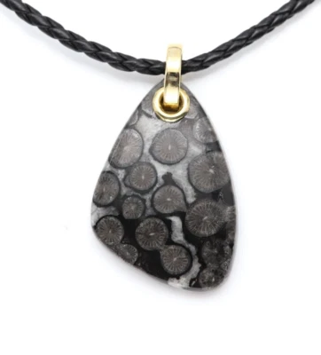 Collar Coral Fósil Negro 14k Colgante Piedra Natural Oro Amarillo 14K y Cordón Foto 1 de 4
