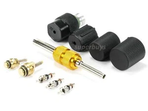 10pcs AC System Cap Schrader Valve Core Remove Air Conditioner Installation Tool - Picture 1 of 5
