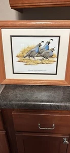Afternoon Stroll - California Quail Nr 13749 von 20.000 original/signiert - Bild 1 von 3