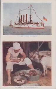 Great White Fleet Connecticut Mascot Potato Cruiser Brooklyn WWI postcard JQ9 - Picture 1 of 2