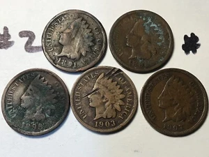 5 Different Low Grade Indian Head Cents All With Dates, 5 Coins - Picture 1 of 2
