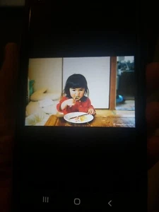 Mirai- Chan Tsubaki-chan 2011 Fotobuch Kotori Kawashima Fotograf ein Jahr - Bild 1 von 3