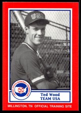 1990 Pan Am Team USA Red BDK 15 Ted Wood   USA  Baseball Card