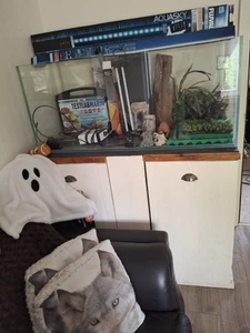 4foot All Glass Fish Tank - Picture 1 of 4