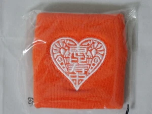 Wristband Hinata Kashiwagi 017 Shiritsu Ebisu Chugaku Emblem & Shrimp Idol Group - Picture 1 of 20