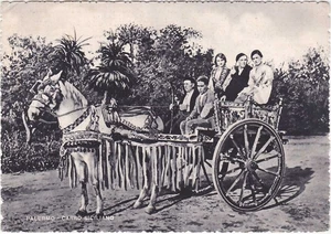 PALERMO - SIZILIANISCHER WAGEN - REISE 1951 -88900- - Bild 1 von 1