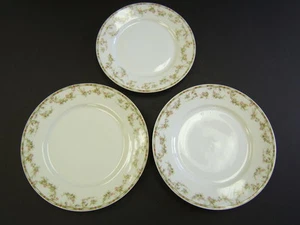 VINTAGE " THEODORE HAVILAND LIMOGES FRANCE 152 SCHLEIGER, 2 Dinner & 1 Luncheon - Picture 1 of 5