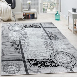 Designer Teppich Modern Meliert Floral mit Mäander Muster Kreise Grau Schwarz - Bild 1 von 1