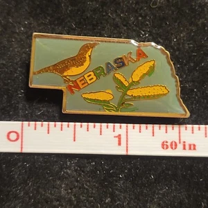 Nebraska NE Souvenir State Lapel Pin Hat Vest Tie Tack resin gold tone Lipko - Picture 1 of 2