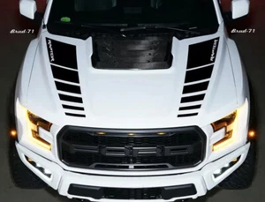 Calcomanías de vinilo capó rayas gráficas - Ford Raptor F-150 - Imagen 1 de 7