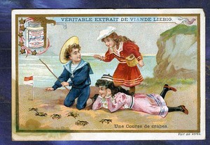 CHROMO LIEBIG S670 s 670 RACING CRABS SEA EDGE CRAB race 1901 Seaside Kids