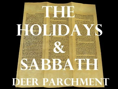 TORAH SCROLL BIBLE VELLUM MANUSCRIPT LEAF 150 YRS TURKEY The Holidays & Sabbath  - Image 1 of 4